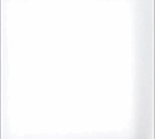 group picture