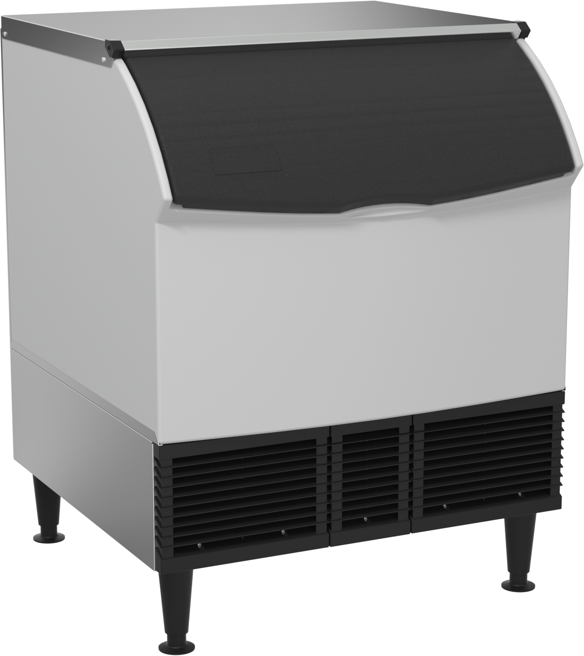 group picture